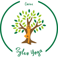 Hatha, Yin Yoga et Sylvothérapie : se ressourcer dans les bras des arbres
